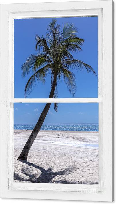 Palm tree tropical window view canvas print